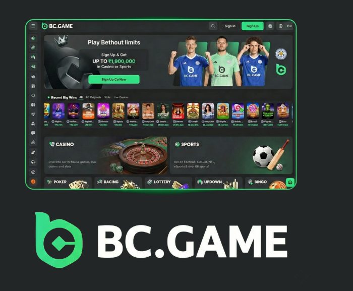 Exploring BC.Game A New Age of Online Gaming Exploring BC.Game A New Age of Online Gaming